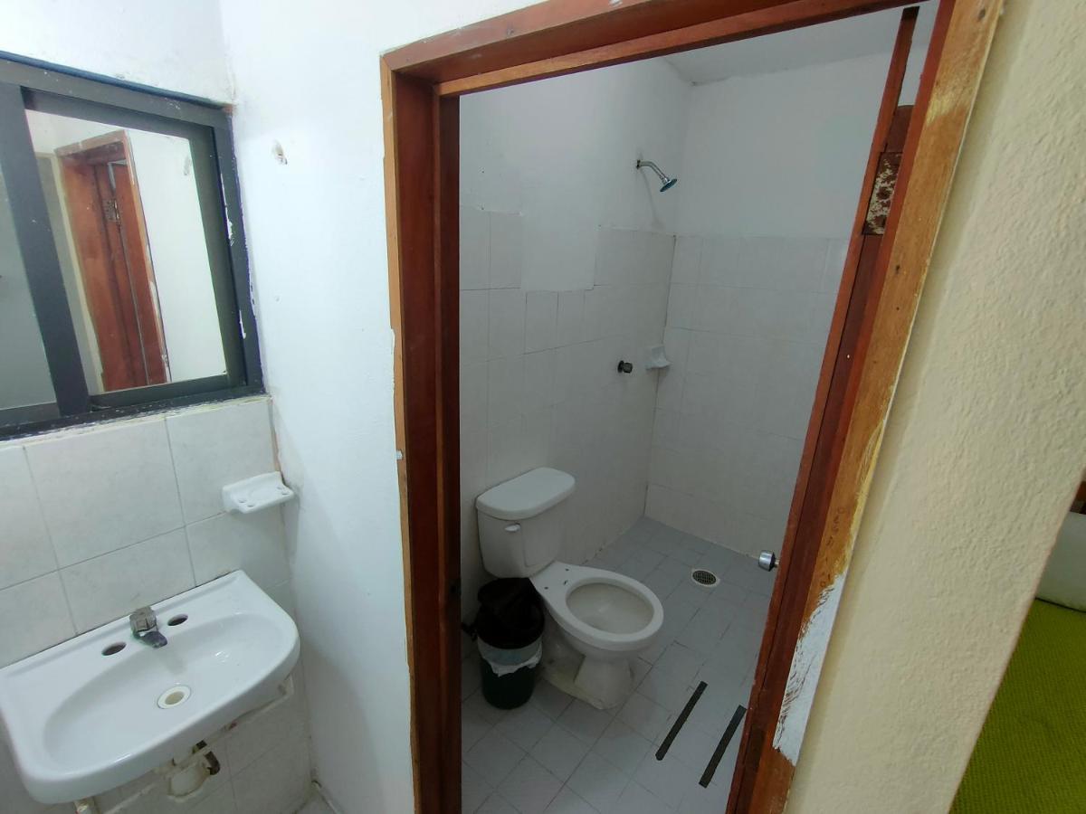 Hostal Pakal King Palenque Dış mekan fotoğraf