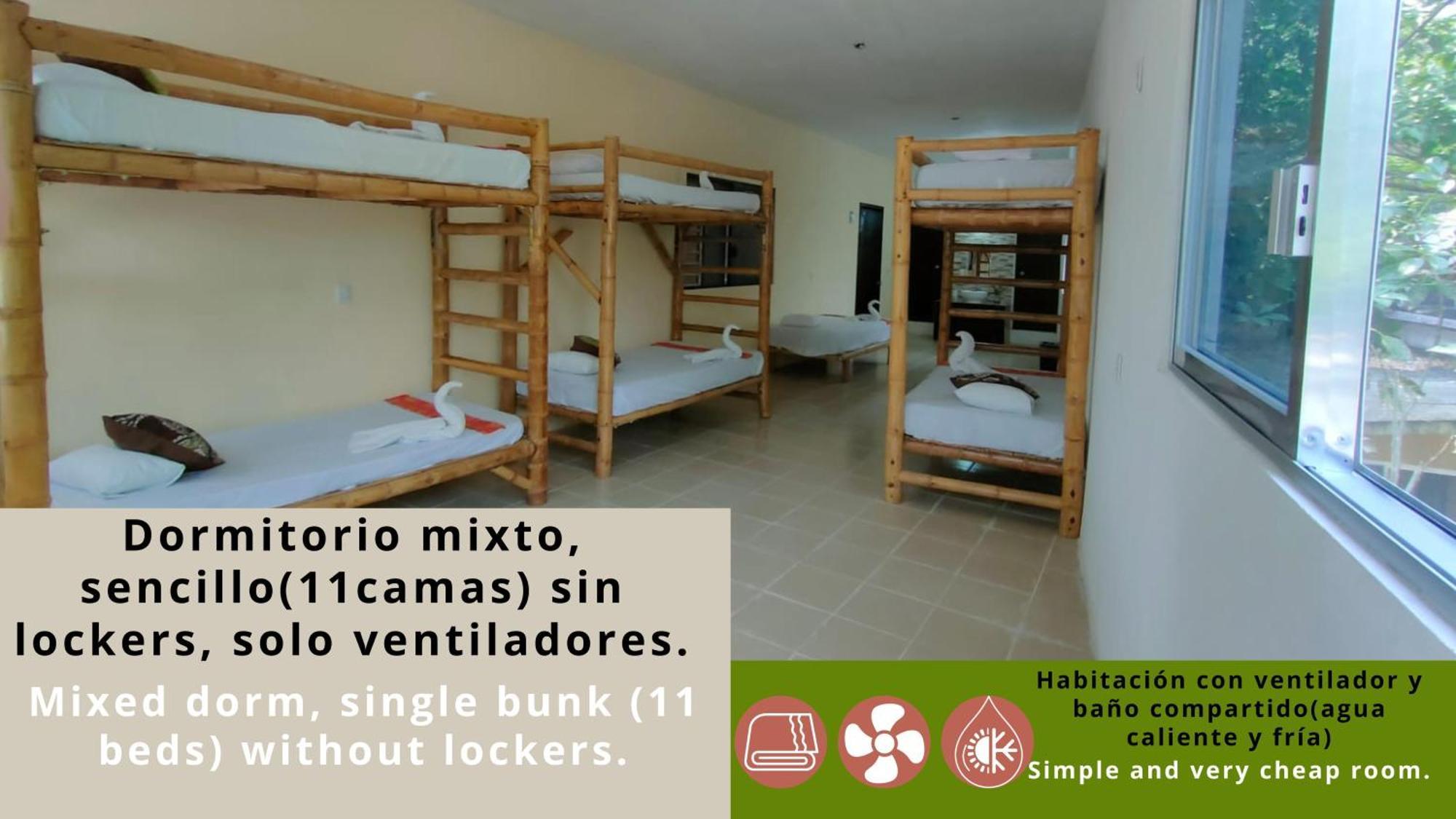 Hostal Pakal King Palenque Dış mekan fotoğraf